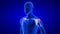 Shoulders Pain close-up illustration. Blue Human Anatomy Body 3D Scan render on blue background
