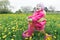 Shouting little girl driving pink and yellow cycle across the spring blossoming dandelions meadow