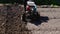 Shouting a vegetable garden with a plow with a tractor. Selective focus.