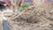 Shovel digging sand from large pile close up
