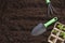 shovel, green seedlings in peat seedling pots and rake on the front of the plowed land. backyard vegetable garden