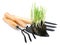 Shovel, rake, garden tools with green root grass