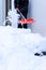 Shovel with snow in manâ€˜s hands, he is cleaning snow in the back yard of his  household