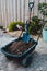 Shovel and soil on wheelbarrow with backyard plants in the background