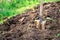 Shovel stuck in the ground on the garden bed. Gardening tool and equipment. Garden work at summer or spring