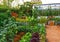 A show garden at the Chelsea Flower Show