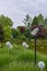 Show gardens, grass garden, summer garden, flower pots, gazebos, pond, flowers, molded plants.