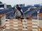 Show jumper Julia Tops rides Sire One