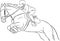 Show Jumping Horse Vector