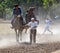 Show performances of horses on the racetrack