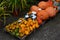 Show of pumpkins of different colors and shapes. serves as autumn and halloween decorations. The shapes evoke swan necks, sperm ap