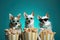 The show\'s about to begin: cheerful, animated Chihuahuas in a quirky setting,Generative AI