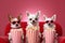 The show\'s about to begin: cheerful, animated Chihuahuas in a quirky setting,Generative AI