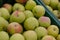 Showcase with apples in a supermarket. A lot of green apples. The choice of products. Fruit
