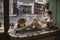 Showcase of a chocolate shop with a bath inside. In the chocolate bath sits a mannequin in a swimsuit made of chocolate