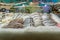 Showcase fish shop, different types of fish lying on the ice. Sale of fresh fish, counter of seafood market