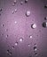 Shower Door Detail - Lilac