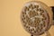 Shower head calcified with mold and scum