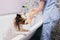 Shower procedures of pet in grooming salon