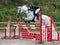 Showjumping Horse