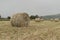 A shredded fodder field. Wheel