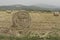 A shredded fodder field. Wheel.