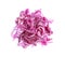 Shredded fresh red cabbage isolated, top view