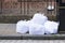 Shredded paper bags on street next to bin for recycle council pick up