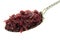 Shredded Red Cabbage Serving Spoon
