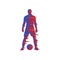 Shredded silhouette of soccer player with a ball.