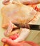 shredding a whole raw chicken, cutting the chicken into pieces with a knife, chicken meat with the bones