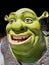 Shrek is a fictional green ogre character