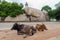 Shri Dharmaraja Cave Temple with lighthouse and two cows in Mahabalipuram, South India