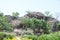 Shri Panch Pandav Caves at Panchmarhi, India