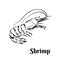 Shrimp black and white outline. Vector seafood illustration.