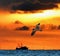 A shrimp boat fishes for its bounty as the sun rises above the horizon