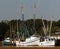 Shrimp Boat Fleet