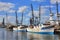 Shrimp Boats