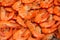 Shrimp boil background on the market