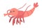 Shrimp Character as Aquatic Mammal with Funny Face Vector Illustration