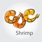 Shrimp design vector object illustration flat sea food