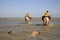 Shrimp Fishermen on horseback, Oostduinkerke, Belgium