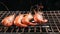 Shrimp grilled on barbecue stove