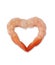 Shrimp Heart