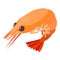 Shrimp icon, isometric 3d style