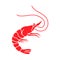 Shrimp icon. Shrimp prawn hand drawn illustration. Fresh prawn seafood silhouette