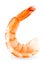 shrimp isolated on white background with clipping path