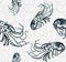 Shrimp lobster oriental japanese chinese vector design seamless pattern
