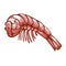 Shrimp meat icon, organic food for appetizer