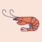 Shrimp prawn illustration drawing icon flat line